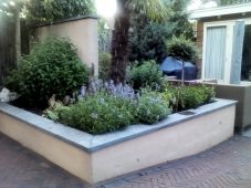 A&J Green Design Tuinontwerp en Projectbegeleiding in Ede, Gelderland_5.jpg